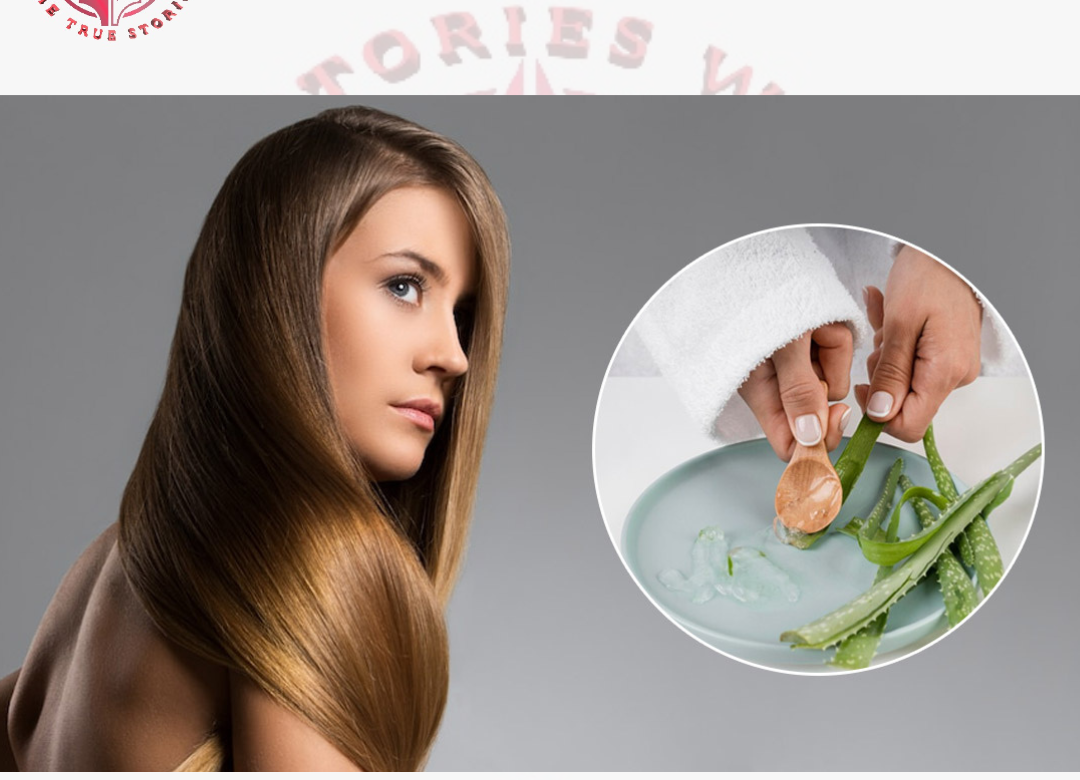 Aloe vera will make even dry hair silky and shiny, know how to use it