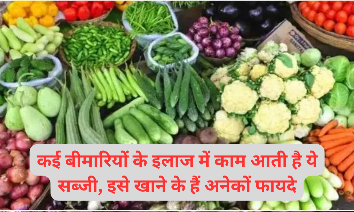 कई बीमारियों के इलाज में काम आती है ये सब्जी, इसे खाने के हैं अनेकों फायदे